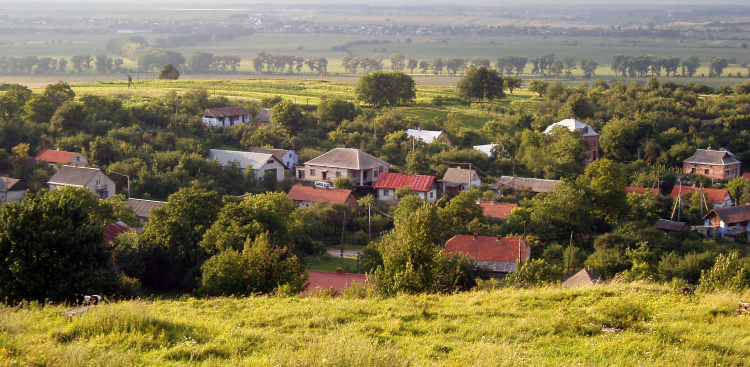 Фото з відкритих джерел