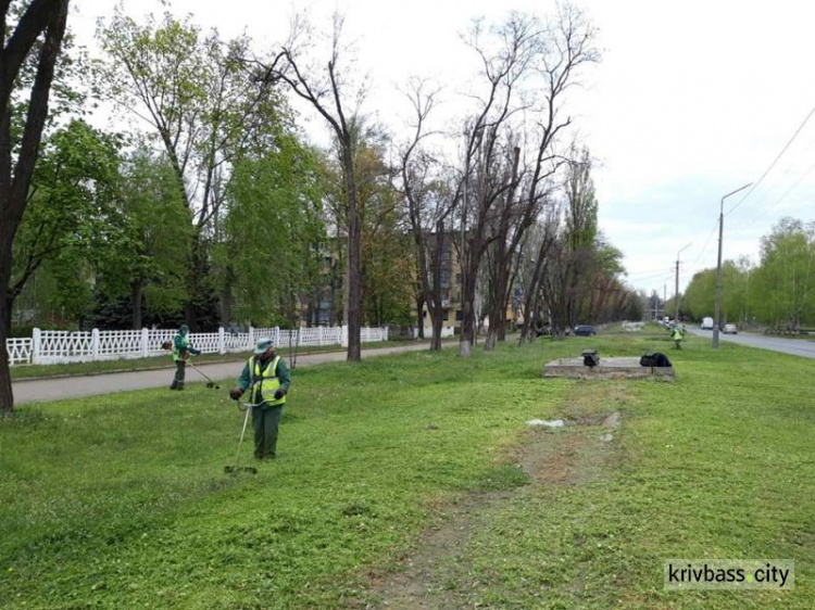 В Ингулецком районе Кривого Рога прошёл «Чистый четверг»