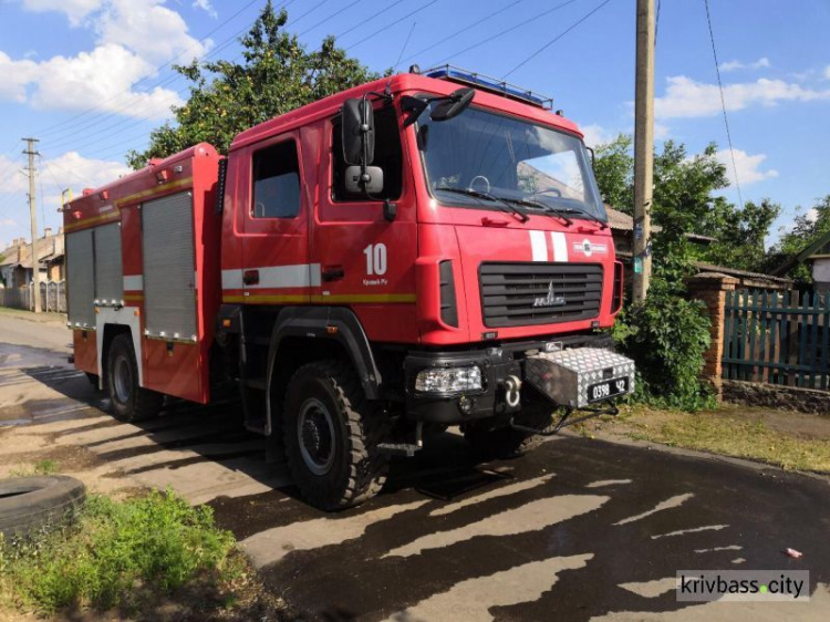 В Кривом Роге спасатели достали собаку из колодца, а кота – с деревянного столба