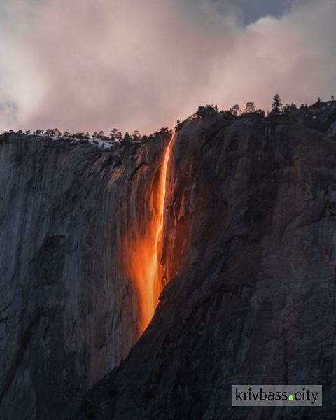 National Geographic назвал лучшее фото года