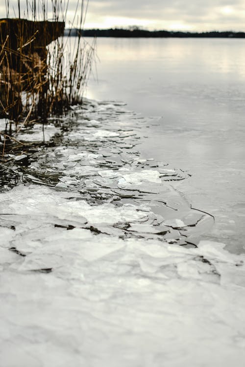 Фото з мережі Інтернет