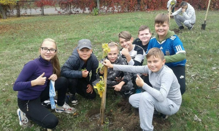 В Криворожской гимназии заложили аллею выпускников (фото)