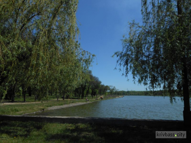 В Кривом Роге любимое место отдыха горожан преображается на глазах (ФОТО)