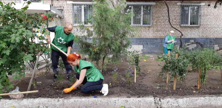 Красота своими руками: в Кривом Роге жители разбили цветник у себя во дворе