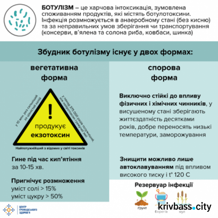 Смертельная инфекция: медики рассказали, как в Кривом Роге и области обстоят дела с ботулизмом (ИНФОГРАФИКА)