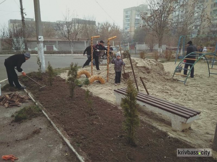 В Кривом Роге обычные дворики превращаются в вечнозеленые оазисы (фото)