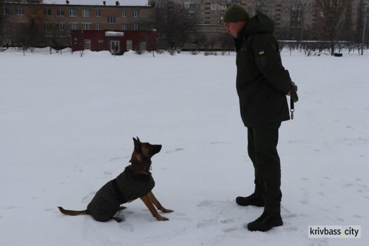 Нацгвардейцы Кривого Рога проверили умения и навыки своих поисковых собак (фото)