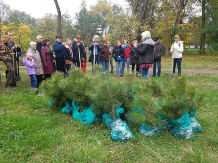 В Кривом Роге появилась сосновая аллея: в одном из парков города началась традиционная высадка деревьев (ФОТО)