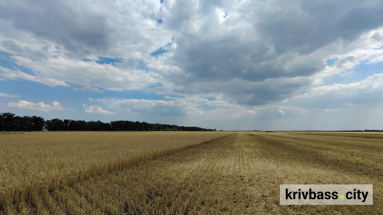 Вкрасти землю за 36 млн гривень не вдалося: на Криворіжжі анулювали фейковий договір