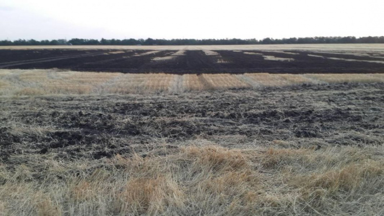 Под Кривым Рогом фермеры спасали от огня урожай