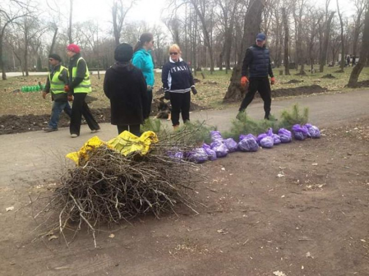 Криворожане высадили 200 кустов живой изгороди в городском парке (фото)