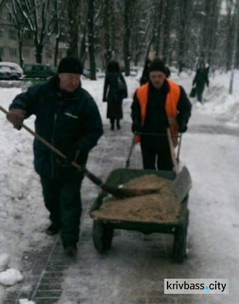 Внимание, циклон: инспекция по благоустройству в Кривом Роге напоминает о безопасности