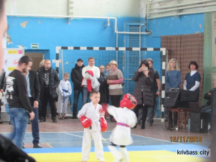 В Кривом Роге соревновались спортсмены-рукопашники (фото)