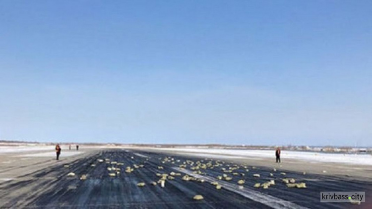 В Якутии самолет при взлете растерял золото (ФОТО+ВИДЕО)