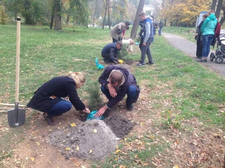 В Кривом Роге появилась сосновая аллея: в одном из парков города началась традиционная высадка деревьев (ФОТО)