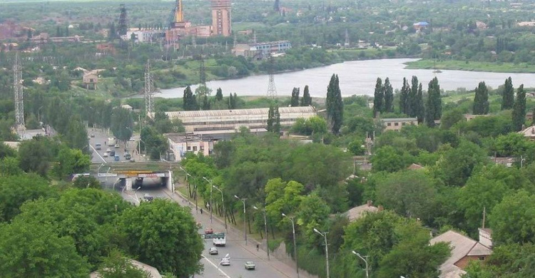 В нынешнем году «зеленый наряд» Кривого Рога пополнят полторы тысячи деревьев