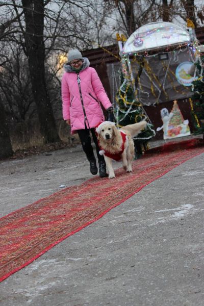 В Кривом Роге состоялся новогодний карнавал для собак (ФОТОРЕПОРТАЖ)