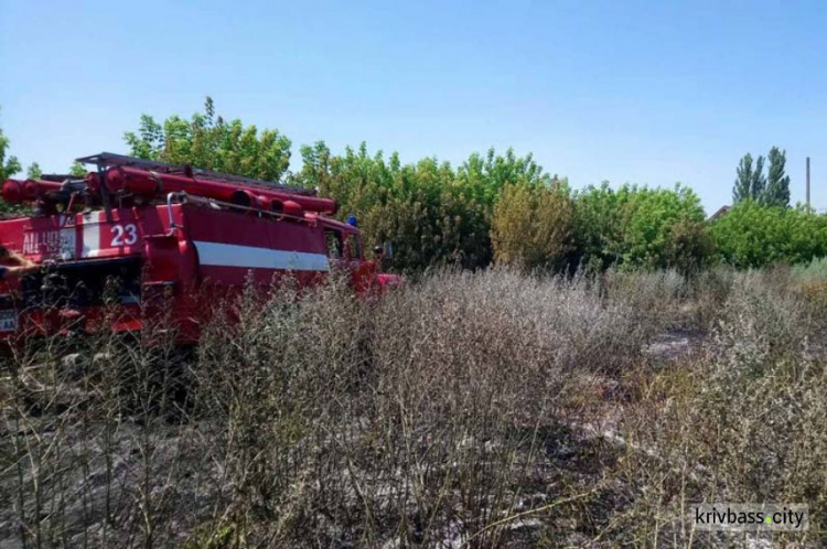 Под Кривым Рогом выгорело почти 5 гектаров земли