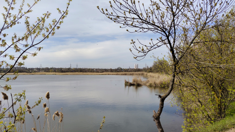 Фото редакції krivbass.city 