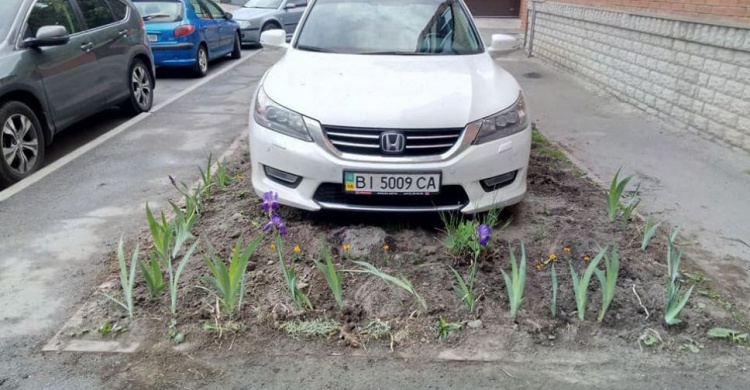 В Кривом Роге водители паркуются на клумбе и избивают тех, кто делает им замечание? (ФОТО)