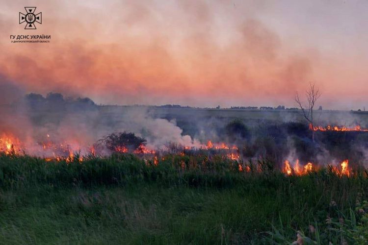 Близько 20 пожеж в екосистемах за добу на Дніпропетровщині: рятувальники попереджають