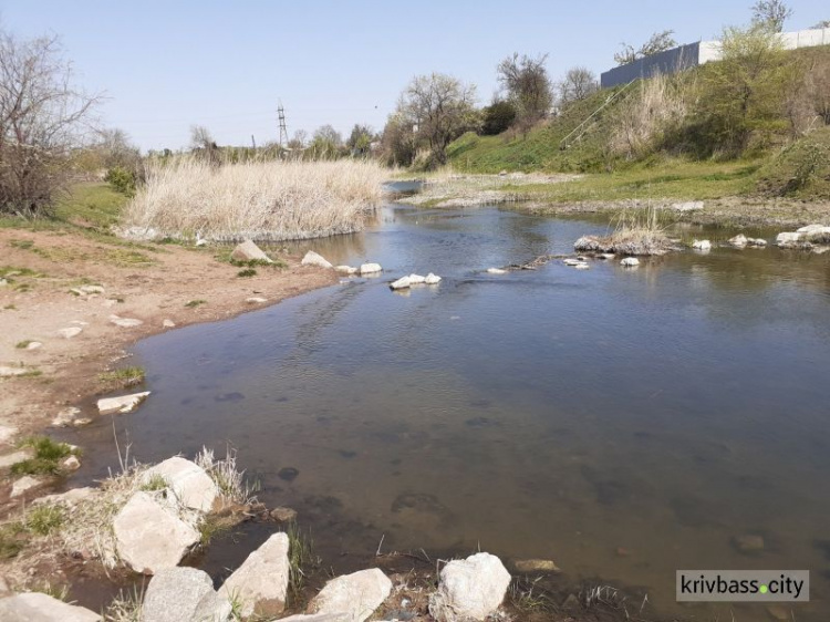 В Кривом Роге необходимо промывать реку Саксагань - экологи 