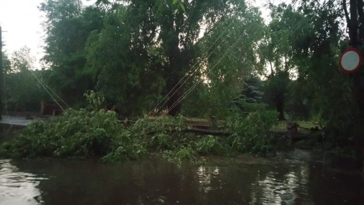 В Кривом Роге из-за непогоды назначили экстренное совещание (фото)