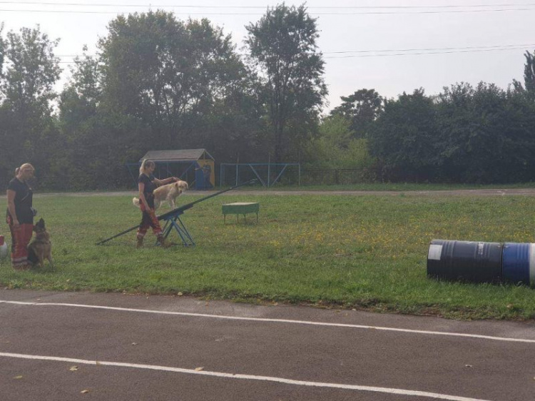 В Кривом Роге провели чемпионат области по пожарно-прикладному спорту (фото)