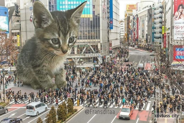 Котзилла! Индонезийский художник вписывает огромных кошек в городские пейзажи (ФОТО)