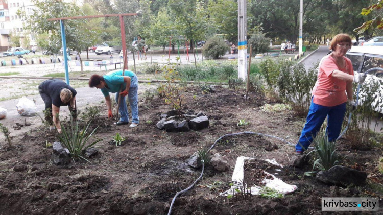 Жители улицы Водопьянова в Кривом Роге облагородили цветник (ФОТОФАКТ)