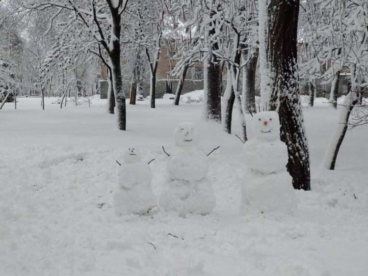 В Кривом Роге жители хвастаются, чей снеговик краше (фото)