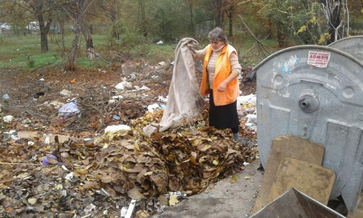 В Кривом Роге управителя оштрафовали за свалку листьев на контейнерной площадке (фото)