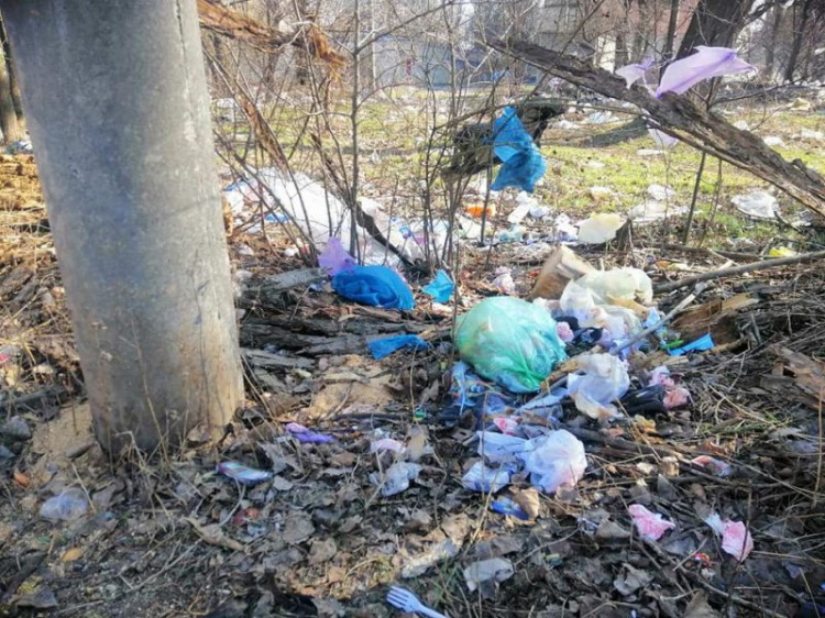 Жители Кривого Рога присоединились к международному флешмобу Trashtag (фото)