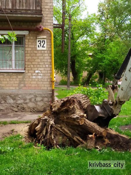 Фото із офіційної сторінки Департаменту розвитку інфраструктури міста виконкому Криворізької міської ради у соціальній мережі Faacebook