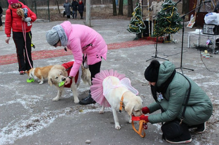 В Кривом Роге состоялся новогодний карнавал для собак (ФОТОРЕПОРТАЖ)