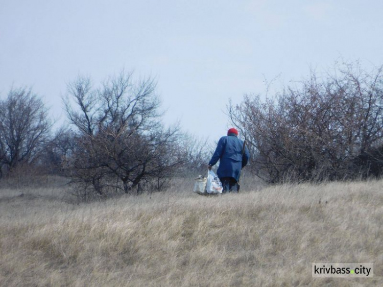 В Кривом Роге  пенсионерки уничтожают краснокнижные растения (фото, видео)