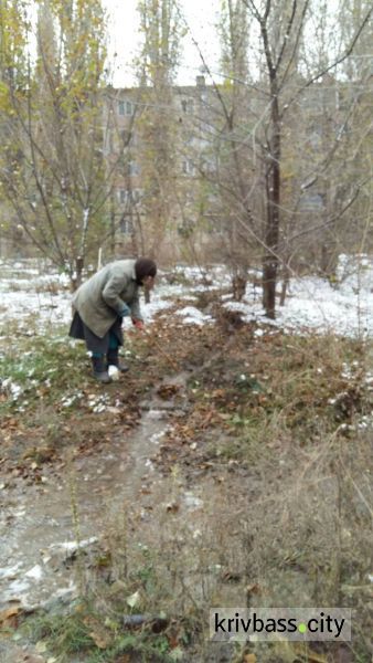 Жители Кривого Рога жалуются, что вода уже месяц затапливает их погреба (фотофакт)