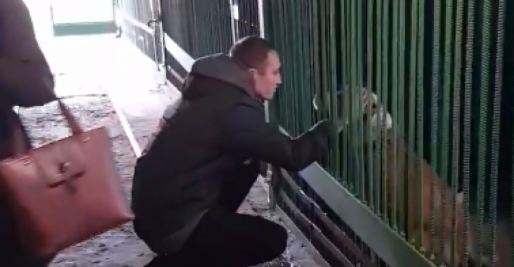 Happy end: в Кривом Роге найденный в посадке привязанным в наморднике пес, нашел своего хозяина (видео)