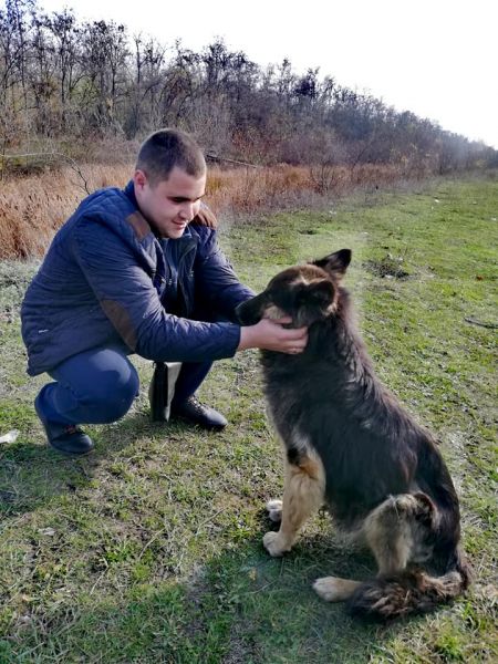 Криворожский Хатико, ждавший в лесополосе под Кривым Рогом своего хозяина, обрел новый дом