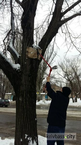 В Кривом Роге коммунальщики объявили "войну" уличной рекламе (ФОТОФАКТ)