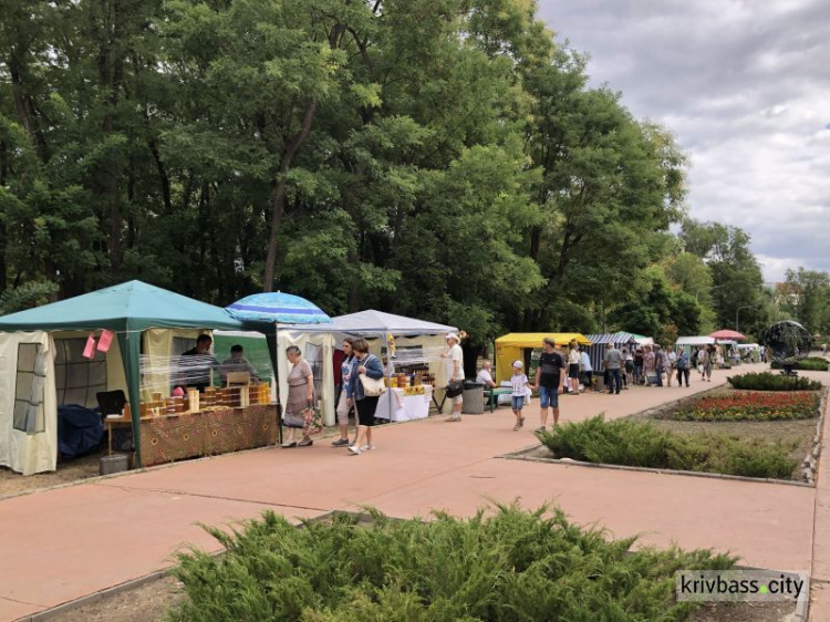 В парке имени Гагарина стартовала 10-я медовая ярмарка