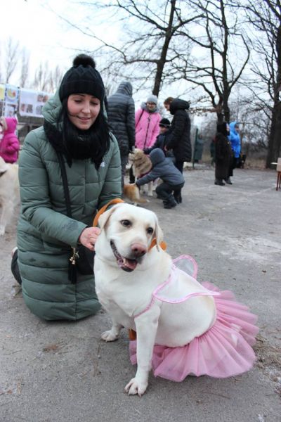 В Кривом Роге состоялся новогодний карнавал для собак (ФОТОРЕПОРТАЖ)