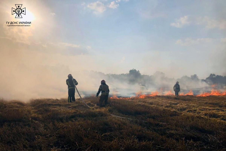 На Криворіжжі горіло поле: що відомо про постраждалих