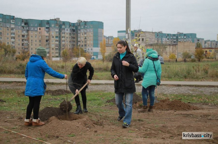 Жители микрорайонов Восточный-2,3 в Кривом Роге вышли на субботник (ФОТОРЕПОРТАЖ)