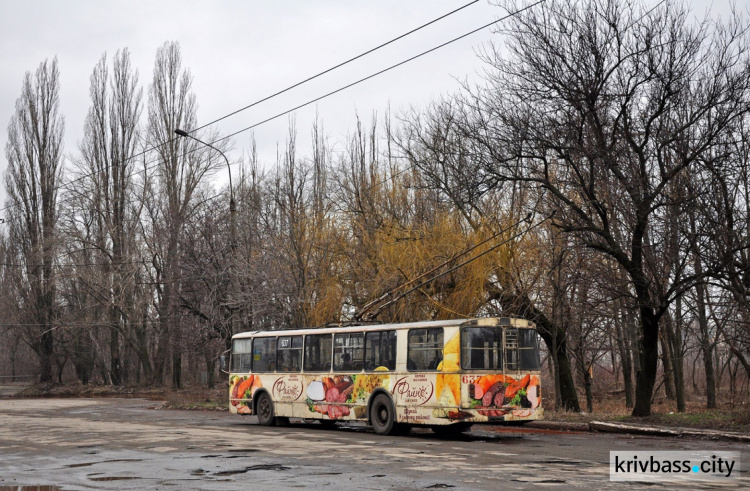 В Кривом Роге чиновникам предлагают пользоваться маршрутками и троллейбусами