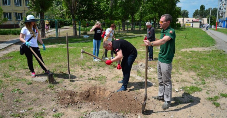 В Кривом Роге одной зеленой аллеей стало больше (фото)