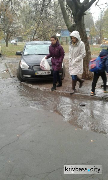 В Кривом Роге по Заречному бежит река из питьевой воды (ФОТОФАКТ)