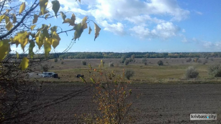 Поисковики из Кривого Рога нашли останки десяти бойцов Второй мировой войны 