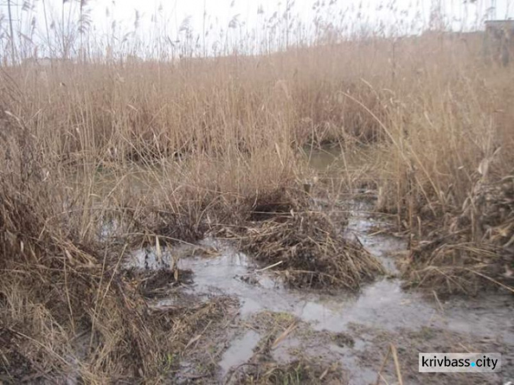 В Кривом Роге сточные воды попадают в реку Саксагань (ФОТОРЕПОРТАЖ)