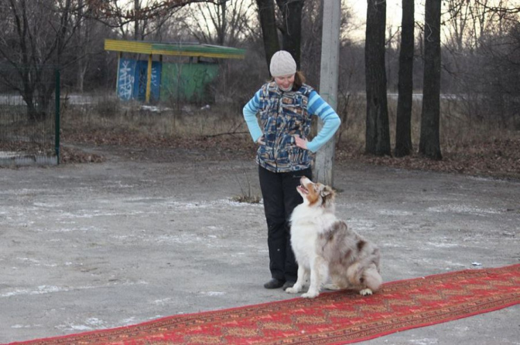 В Кривом Роге состоялся новогодний карнавал для собак (ФОТОРЕПОРТАЖ)